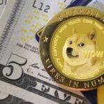 sbor dogecoin